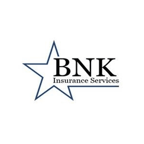 BNK Insurance Service